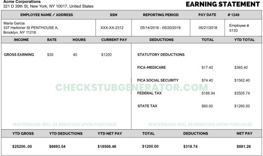 check stub maker