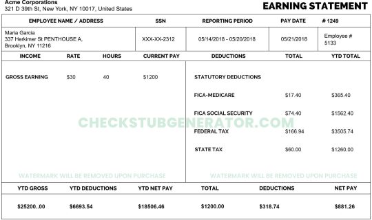 check stub generator