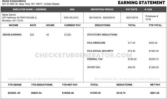 paystub maker