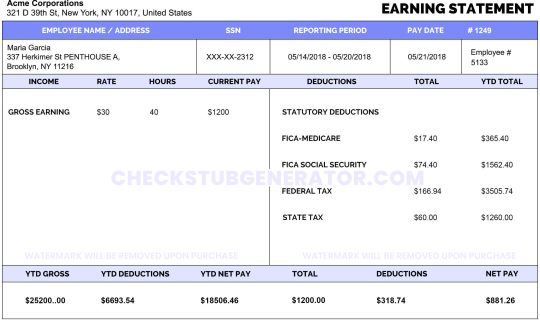 100 free paystub generator